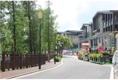 采取綜合防治措施  加強(qiáng)園林綠化養(yǎng)護(hù)