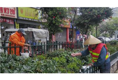 啟動(dòng)春季綠化工作，打造富順美麗春景